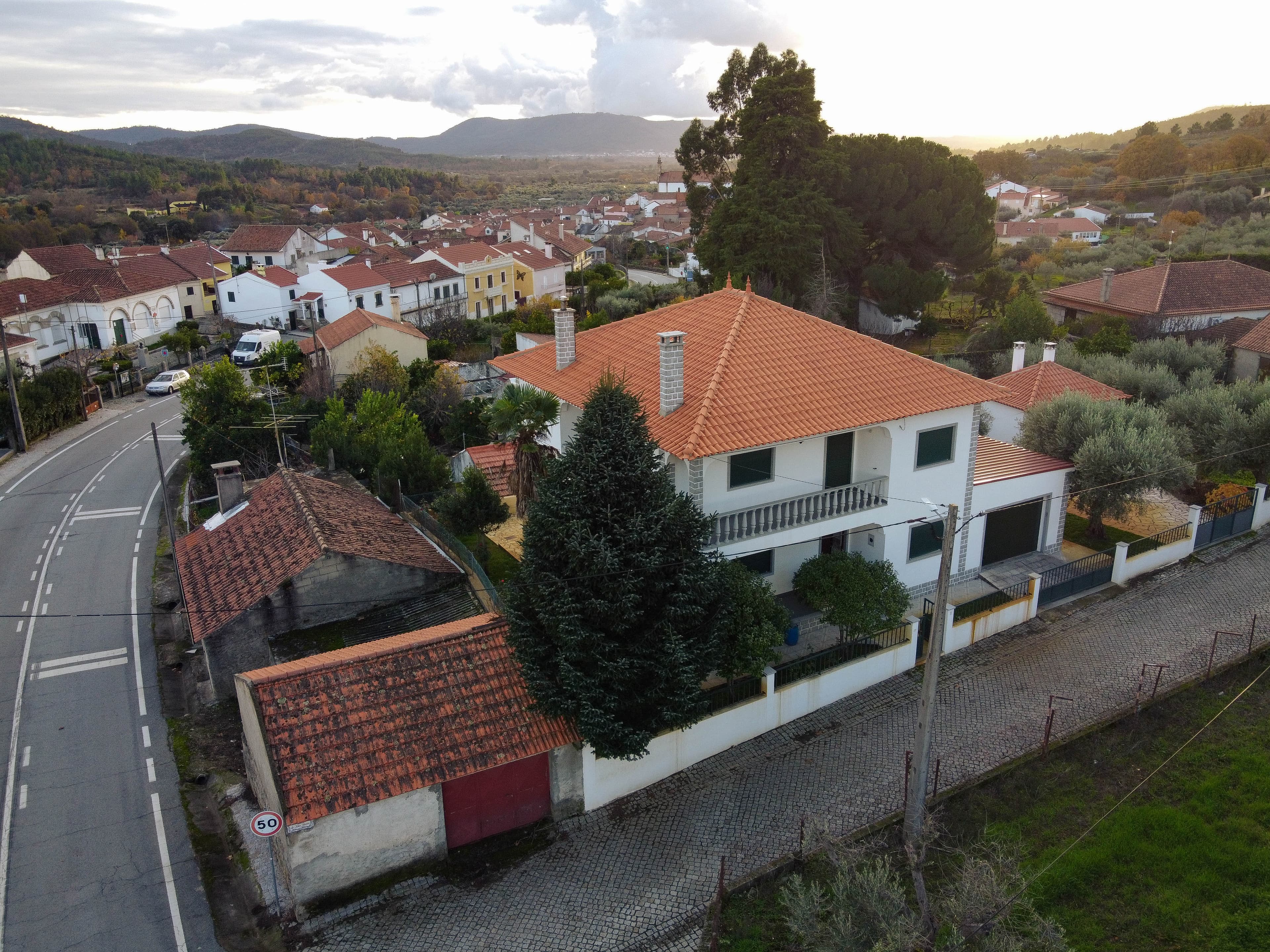 A Settled Home Among Olive Trees