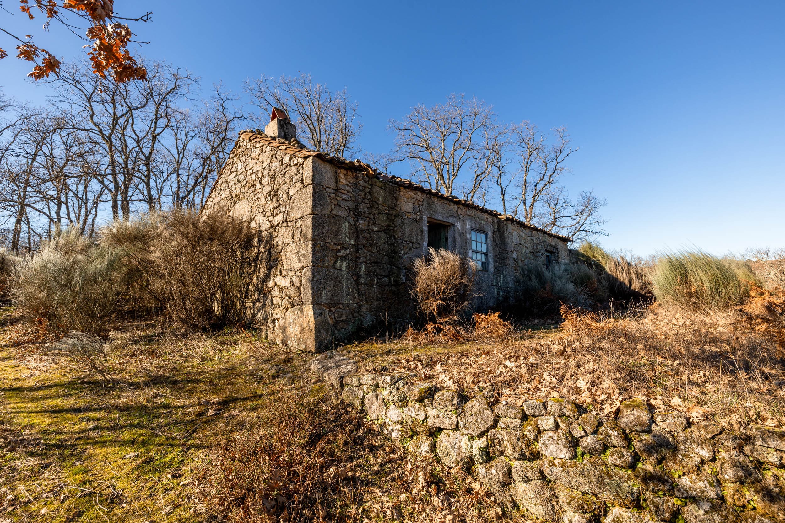 House between Forest and Open Hills